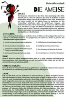 Vorschau - Stundenentwürfe - Die Ameise - Seite 1