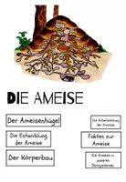 Vorschau - Stundenentwürfe - Die Ameise - Seite 3