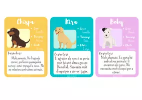 Vista previa - Juegos / Gamificación - Adopta un gos; comprensió lectora - página 3