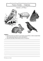 Vorschau - Arbeitsblätter - Kreatives Schreiben "Zaubertiere" - Deutsch/ Vertretung - Klasse 5-7 - Seite 1