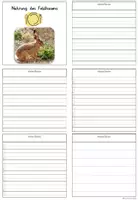 Vorschau - Arbeitsblätter - Feldhase Hase Lapbook Plakat (mehrfach differenziert) - Seite 3