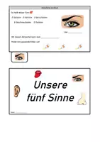 Vorschau - Arbeitsblätter - Flipbook die fünf Sinne - Deckblatt