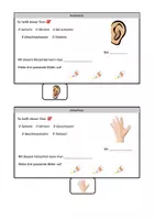Vorschau - Arbeitsblätter - Flipbook die fünf Sinne - Seite 1