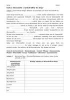 Vorschau - Arbeitsblätter - Mineralstoffe Arbeitsblatt mit Lösungen - Seite 1