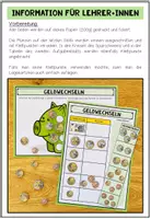 Vorschau - Fördermaterial/Inklusion - Geldbeträge wechseln – Euro & Cent | Legeaufgabe mit Münzen 4.–5. Klasse - Seite 1
