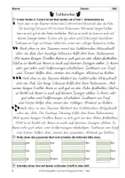 Vorschau - Arbeitsblätter - Schönschreibgeschichten: Tiere - alle Schulschriften - Seite 3