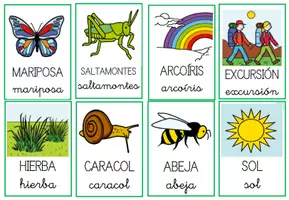 Vista previa - Refuerzo / NEE / Materiales de apoyo - Tarjetas vocabulario primavera - página 1