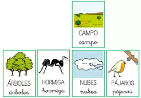 Vista previa - Refuerzo / NEE / Materiales de apoyo - Tarjetas vocabulario primavera - página 2