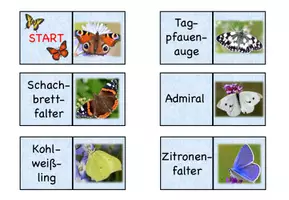Vorschau - Spiele - Schmetterlinge- Domino (Kl. 1-4) - Seite 1