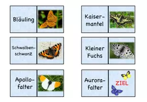 Vorschau - Spiele - Schmetterlinge- Domino (Kl. 1-4) - Seite 2