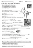 Vorschau - Arbeitsblätter - Lernposter + Arbeitsblatt "Borkenkäfer" + Onlineübung & MP3 + Mindmap + Infografik - Seite 1