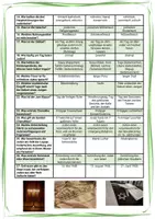 Vorschau - Arbeitsblätter - Judentum erklärt – Eine Religion in (fast) fünf Minuten (videogestützt) - Seite 2