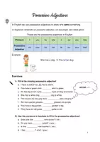 Vorschau - Arbeitsblätter - Possessive Adjectives - Arbeitsblatt mit Erklärung & Übungen - A1 - Seite 2