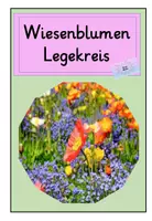 Vorschau - Präsentationen/Tafelbilder - Blumen auf der Wiese : Legekreis Wiesenblumen - Deckblatt