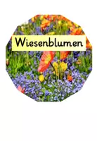Vorschau - Präsentationen/Tafelbilder - Blumen auf der Wiese : Legekreis Wiesenblumen - Seite 1