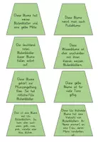 Vorschau - Präsentationen/Tafelbilder - Blumen auf der Wiese : Legekreis Wiesenblumen - Seite 2