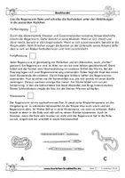 Vorschau - Arbeitsblätter - Regenwurm - fächerübergreifende Arbeitsblätter - Karlchen Krabbelfix - Seite 2