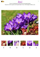 Aperçu - Jeux - Livret d'enquête - Fleurs - Pour le printemps - Niveau 1 - Page 2