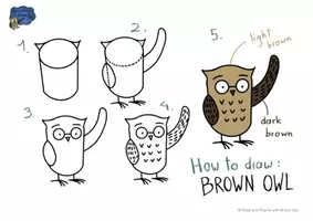Aperçu - Apprentissages en autonomie - Anglais : Brown Owl and the Bee Hive - COMMENT DESSINER/HOW TO DRAW - Page 3