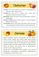 Vorschau - Text - Wissenskartei Obst und Gemüse #edukilights22 - Seite 3