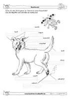 Vorschau - Arbeitsblätter - Hunde - fächerübergreifende Arbeitsblätter - Krabbelfix - Seite 1
