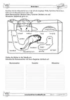 Vorschau - Arbeitsblätter - Rennmäuse - fächerübergreifende Arbeitsblätter - Krabbelfix - Seite 3