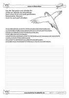 Vorschau - Arbeitsblätter - Wellensittiche - fächerübergreifende Arbeitsblätter - Krabbelfix - Seite 3