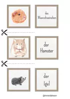 Vorschau - Spiele - Tiere - Spiel Paare finden DAF/DAZ - Seite 1