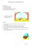 Vorschau - Mal- und Bastelvorlagen - Schiebepostkarte Ostern - Seite 1