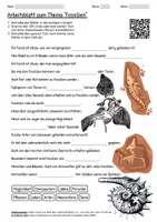 Vorschau - Arbeitsblätter - Lernposter + Arbeitsblatt "Fossilien" + Onlineübung & MP3 + Mindmap + Infografik - Seite 1