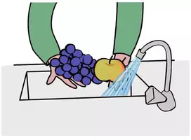 Vorschau - Arbeitsblätter - Bilderrezept Obstsalat 9 Schritt-für-Schritt-Bilder - Seite 2