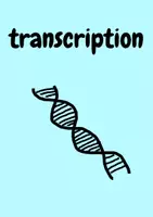 Aperçu - Texte - Transcription- biology - Page de couverture