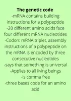 Aperçu - Texte - The genetic code - Page 1
