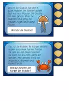 Vorschau - Aufgabenkarten - Abschreibkartei Unterwasser mit Aufgaben 3-fach differenziert Druckschrift - Seite 3