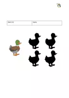 Vorschau - Arbeitsblätter - 30 PDF-Finde den richtigen Schatten, Bilder zuordnen,differenziert - Seite 2