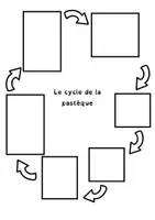 Aperçu - Feuilles d'exercices - sciences : le cycle de vie de la pastèque - Page 2