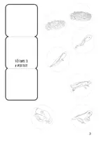 Aperçu - Feuilles d'exercices - science : cycle de reproduction crapaud/grenouille - Page 3