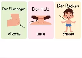 Vorschau - Spiele - Der Körper deutsch-ukrainisch - Seite 2