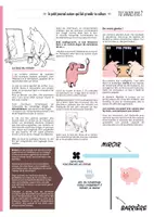 Aperçu - Apprentissages en autonomie - TU SAVAIS PAS N°4- Que les cochons sont propres et super intelligents ! - Page 2