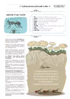 Aperçu - Apprentissages en autonomie - TU SAVAIS PAS N°5- Que les fourmis ont inventé l’agriculture ! - Page 2