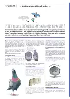 Aperçu - Apprentissages en autonomie - TU SAVAIS PAS N°6- Que les pigeons sont moins bêtes qu’ils en ont l’air ! - Page 3