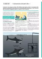 Aperçu - Jeux - TU SAVAIS PAS N°8 – Qu’un requin est moins dangereux qu’un moustique ! - Page 3