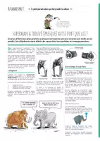 Aperçu - Apprentissages en autonomie - TU SAVAIS PAS N°9 – Que les éléphants ont des super-pouvoirs ! - Page 1