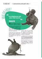 Aperçu - Apprentissages en autonomie - TU SAVAIS PAS N°9 – Que les éléphants ont des super-pouvoirs ! - Page 3