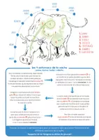Aperçu - Jeux - TU SAVAIS PAS N°10 – Que les vaches ont quatre estomacs ! - Page 2