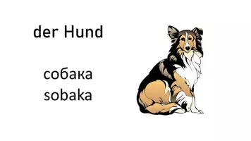 Vorschau - Fördermaterial/Inklusion - DaZ/DAF: Tiere Deutsch-Ukrainisch 26 Bild-Wortkarten - Seite 3