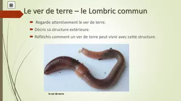 Aperçu - Préparation de séquence / Séquence complète - Le ver de terre - Page 3