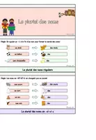 Vorschau - Unterrichtsreihen - Materialpaket: Le pluriel des noms (Pluralbildung) - Seite 2