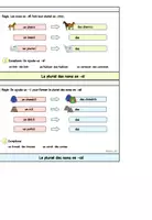 Vorschau - Unterrichtsreihen - Materialpaket: Le pluriel des noms (Pluralbildung) - Seite 3