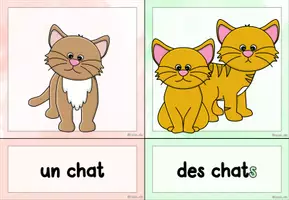 Vorschau - Präsentationen/Tafelbilder - Cartes d'images: Le pluriel des noms (Tafelmaterial) #edukilights22 - Seite 1